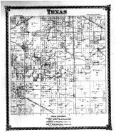 Texas Township, DeWitt County 1875